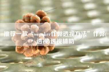 推荐一款“wepoker作弊透视方法	”作弊(透视)透视辅助