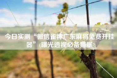 今日实测“微信雀神广东麻将免费开挂器”(曝光透视必备猫腻