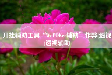 开挂辅助工具“WePOKer辅助	”作弊(透视)透视辅助