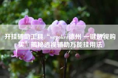 开挂辅助工具“wepoker德州 一键透视购买	”揭秘透视辅助万能挂用法