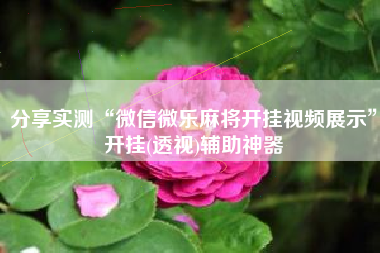 分享实测“微信微乐麻将开挂视频展示”开挂(透视)辅助神器