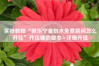 实操教程“微乐宁夏划水免费房间怎么开挂	”开挂辅助脚本+详细开挂