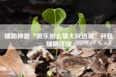 辅助神器“微乐刨幺填大坑透视”开挂辅助详细