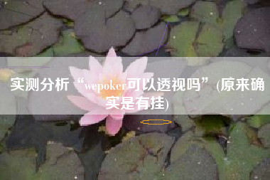 实测分析“wepoker可以透视吗	”(原来确实是有挂)