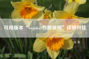 可用版本“wepoker作弊视频”详细开挂