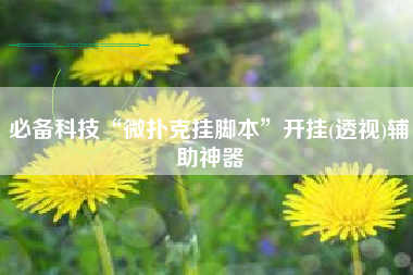 必备科技“微扑克挂脚本”开挂(透视)辅助神器