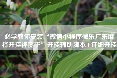 必学教你安装“微信小程序微乐广东麻将开挂神器下	”开挂辅助脚本+详细开挂