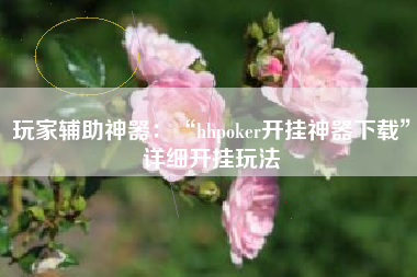 玩家辅助神器：“hhpoker开挂神器下载”详细开挂玩法