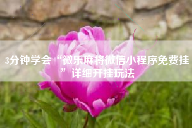 3分钟学会“微乐麻将微信小程序免费挂”详细开挂玩法