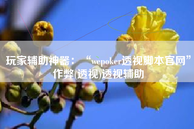 玩家辅助神器：“wepoker透视脚本官网	”作弊(透视)透视辅助
