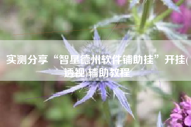 实测分享“智星德州软件铺助挂”开挂(透视)辅助教程
