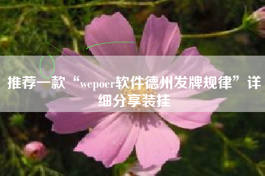 推荐一款“wepoer软件德州发牌规律”详细分享装挂