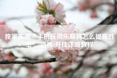 独家实测“手机玩微乐麻将怎么提高胜率	”(透视)开挂详细教程