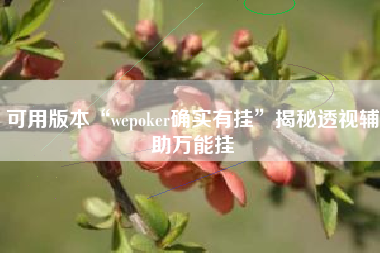 可用版本“wepoker确实有挂”揭秘透视辅助万能挂