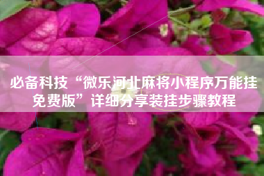 必备科技“微乐河北麻将小程序万能挂免费版”详细分享装挂步骤教程