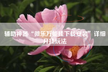 辅助神器“微乐万能挂下载安装”详细开挂玩法