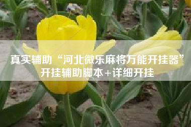 真实辅助“河北微乐麻将万能开挂器	”开挂辅助脚本+详细开挂