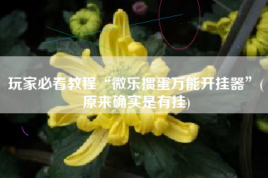 玩家必看教程“微乐掼蛋万能开挂器”(原来确实是有挂)