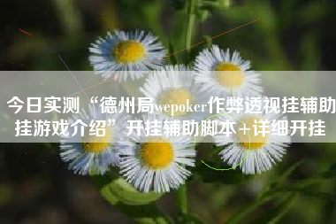 今日实测“德州局wepoker作弊透视挂辅助挂游戏介绍	”开挂辅助脚本+详细开挂