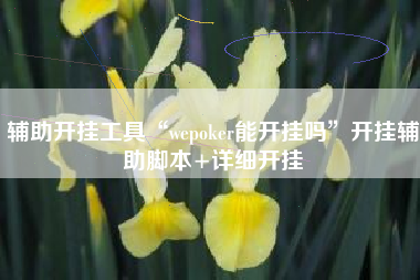 辅助开挂工具“wepoker能开挂吗	”开挂辅助脚本+详细开挂