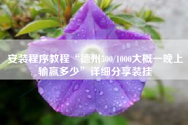 安装程序教程“德州500/1000大概一晚上输赢多少	”详细分享装挂