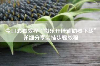 今日必看教程“微乐开挂辅助器下载	”详细分享装挂步骤教程