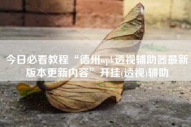 今日必看教程“德州wpk透视辅助器最新版本更新内容”开挂(透视)辅助