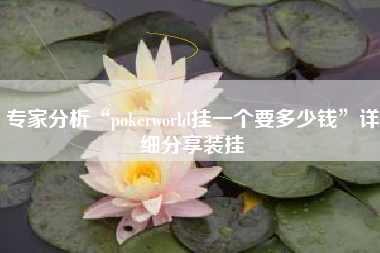 专家分析“pokerworld挂一个要多少钱”详细分享装挂