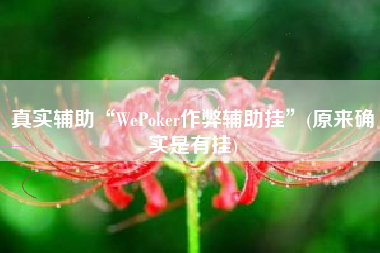 真实辅助“WePoker作弊辅助挂	”(原来确实是有挂)