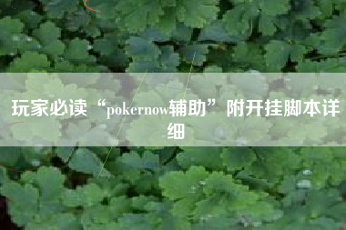 玩家必读“pokernow辅助”附开挂脚本详细