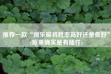 推荐一款“微乐麻将胜率高好还是低好”(原来确实是有插件)