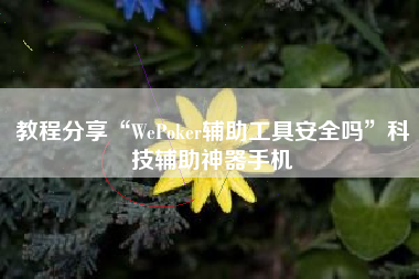 教程分享“WePoker辅助工具安全吗	”科技辅助神器手机