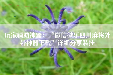 玩家辅助神器：“微信微乐四川麻将外卦神器下载”详细分享装挂