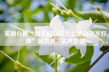 实测分析“微乐好友房怎么给自己发好牌	”辅助器 - 实时智能