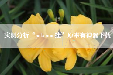 实测分析“pokemon挂”原来有神器下载