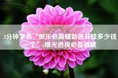 3分钟学会“微乐必赢辅助器开挂多少钱一个”(曝光透视必备猫腻