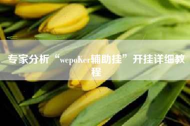 专家分析“wepoKer辅助挂”开挂详细教程