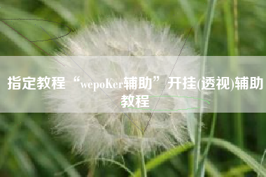 指定教程“wepoKer辅助”开挂(透视)辅助教程