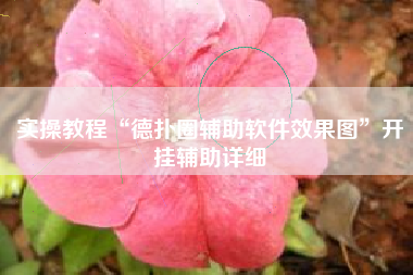 实操教程“德扑圈辅助软件效果图”开挂辅助详细