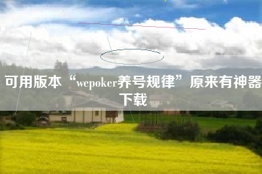 可用版本“wepoker养号规律”原来有神器下载