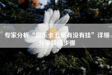 专家分析“微乐卡五星有没有挂	”详细分享装挂步骤
