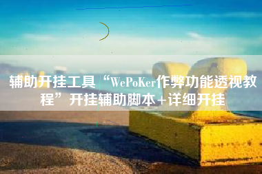 辅助开挂工具“WePoKer作弊功能透视教程”开挂辅助脚本+详细开挂