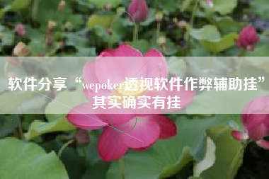 软件分享“wepoker透视软件作弊辅助挂	”其实确实有挂