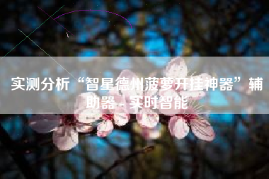 实测分析“智星德州菠萝开挂神器”辅助器 - 实时智能