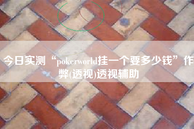 今日实测“pokerworld挂一个要多少钱”作弊(透视)透视辅助