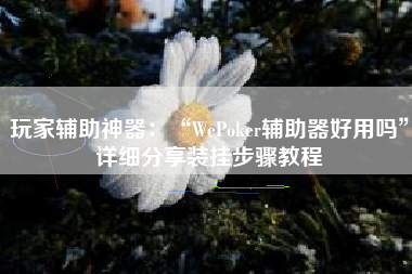 玩家辅助神器：“WePoker辅助器好用吗”详细分享装挂步骤教程