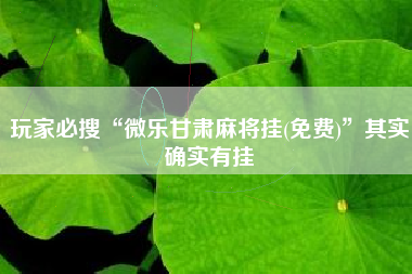 玩家必搜“微乐甘肃麻将挂(免费)	”其实确实有挂
