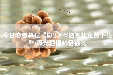 今日必看教程“微乐2025透视挂免费下载	”(曝光透视必备猫腻