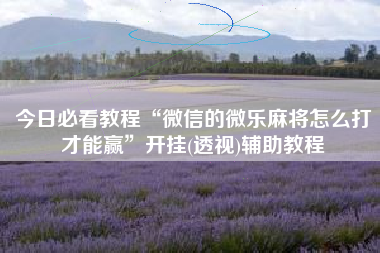 今日必看教程“微信的微乐麻将怎么打才能赢”开挂(透视)辅助教程