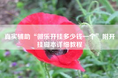 真实辅助“微乐开挂多少钱一个”附开挂脚本详细教程